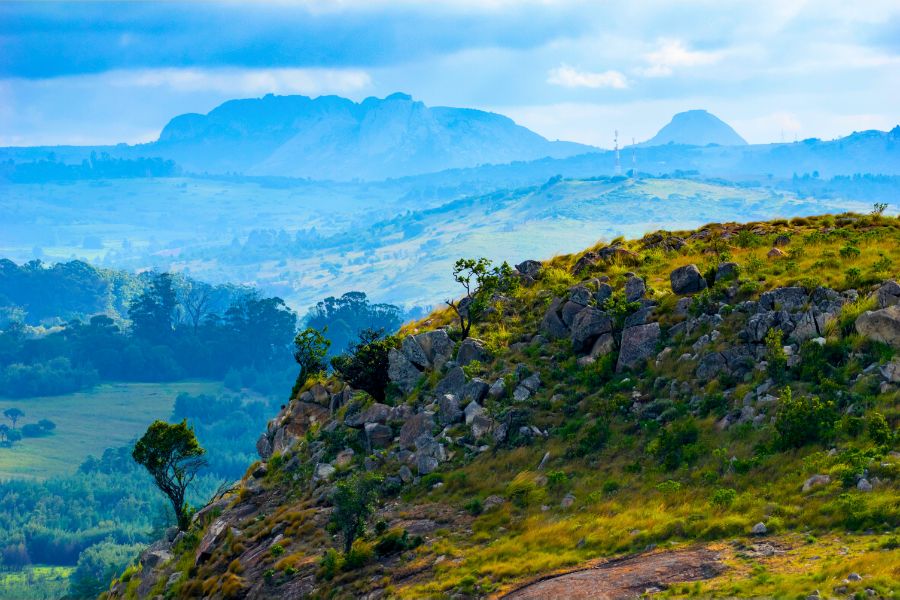 Scenic Zimbabwe road through green hills — the kind of route our drivers travel every day